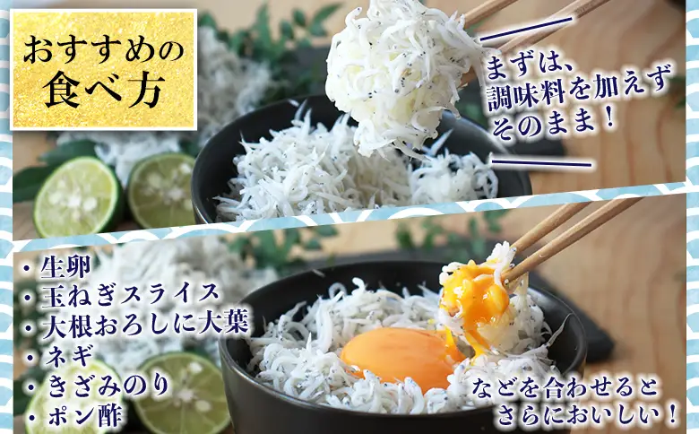 ＜老舗網元 濱田屋の釜あげしらす 計1.1kg（100g×11袋）＞『1か月以内に順次出荷予定』 減塩 数量限定 化粧箱 簡易包装 選べる 釜揚げ シラス じゃこ 海鮮 海産物 丼 小魚 乾物 小分け カルシウム 国産 マルヨシ水産 愛媛県 西予市【冷凍】AMS0018