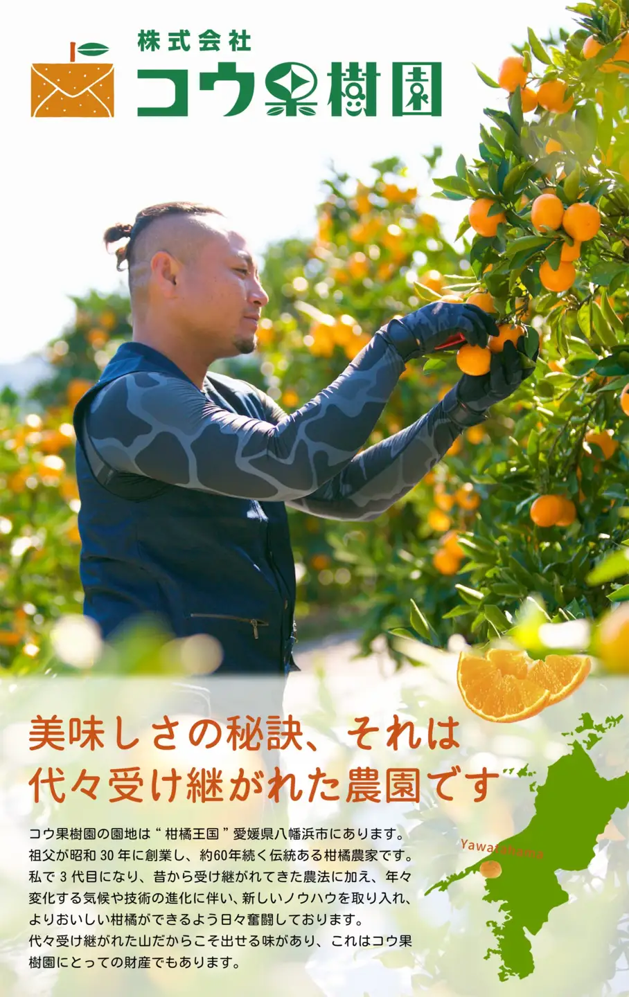 コウ果樹園の華みかん小玉5kg【C33-37】【1491968】 YWTG019