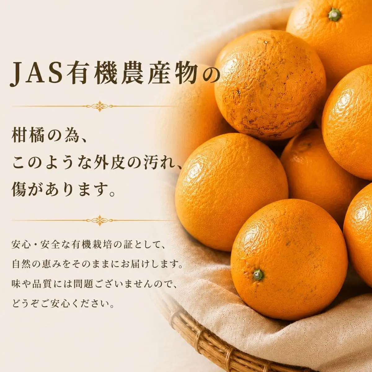 【先行受付】【JAS認証有機栽培】こんな柑橘初めてプルプル新食感「まどんな」約3kg【D39-25】【1044609】 YWTF012