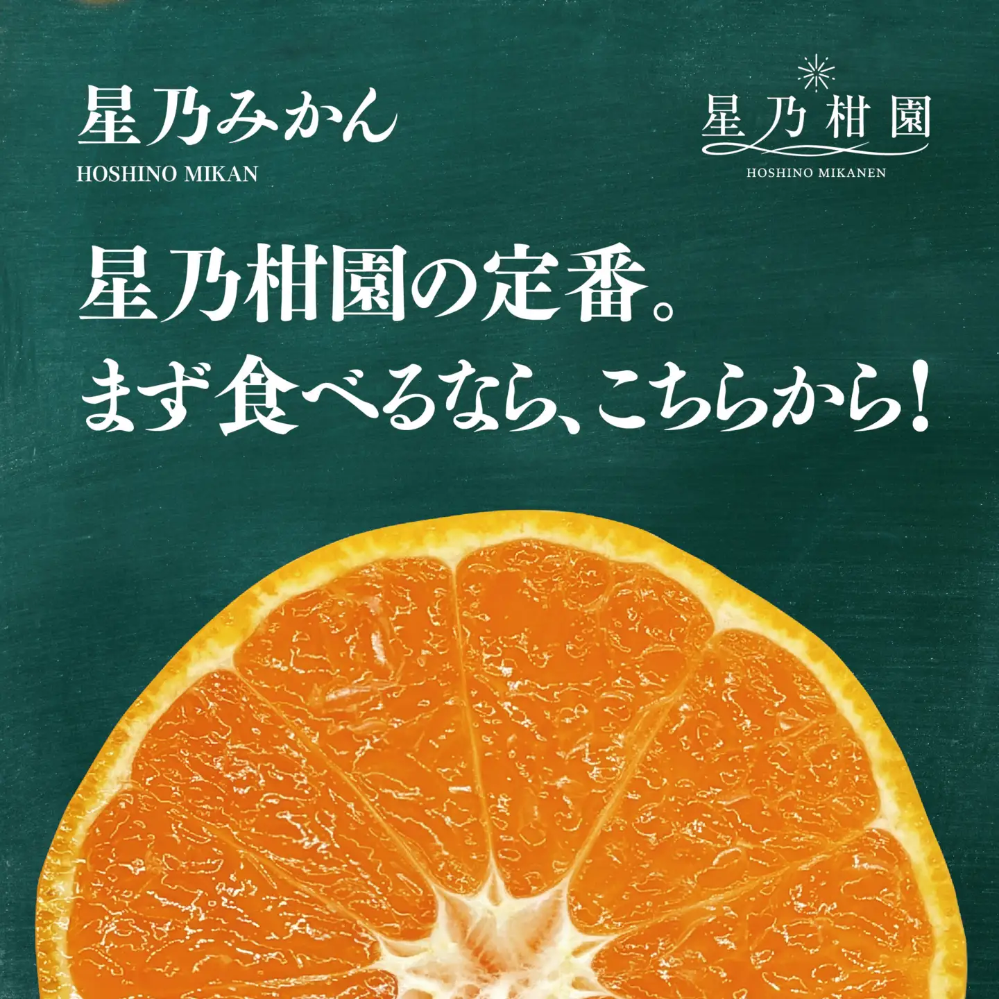【先行受付】星乃みかん園の星乃みかん(10kg)【訳あり】【C45-64】【1339361】 YWTAZ027
