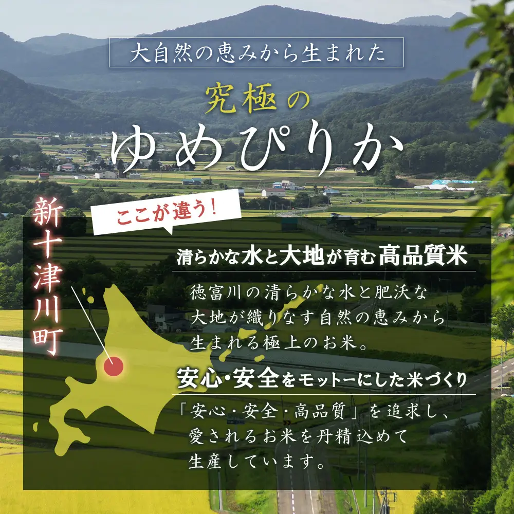 【令和8年度産】 ゆめぴりか精米定期便  (10kg×12回)【11037】