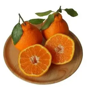 みかんジュース & 不知火ジュース CRAFT ORANGE 100％果汁 各種1本 / 早生みかん 早生 ミカン 柑橘 不知火 ジュース deuce じゅーす フルーツ 果物 紀州産 和歌山県【kjt014】