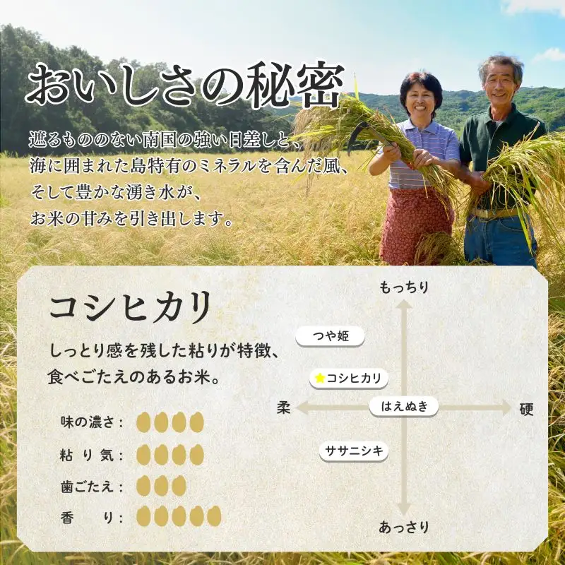 【先行予約】《令和8年産米 新米》【8月上旬より順次発送予定】 種子島産コシヒカリ5kg 【新栄物産】