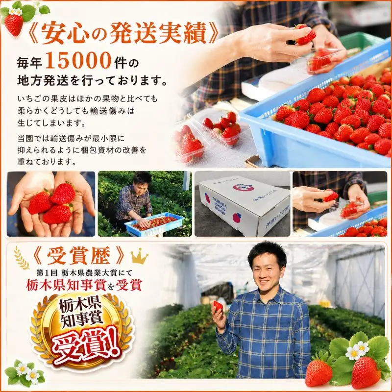訳あり 粒不揃い とちあいか 320g (160g×2P) 【2027年先行予約】 いちご 苺 | 栃木県 矢板市 澳原いちご農園