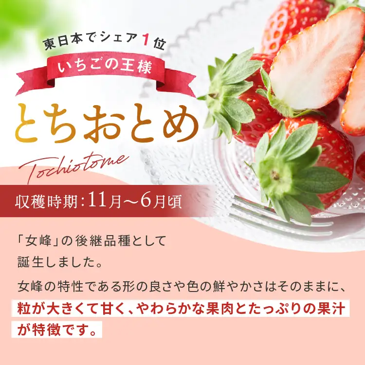 訳あり 粒不揃い とちおとめ 320g (160g×2P) 【2027年先行予約】 いちご 苺 | 栃木県 矢板市 澳原いちご農園