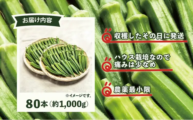 トロッとおいしいオクラ＜80本、約1000g＞　80P3206【ひない渡辺農園しどけ村】