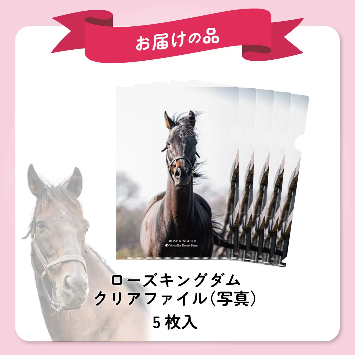 【ローズキングダム】クリアファイル 写真5枚入り BRTV255