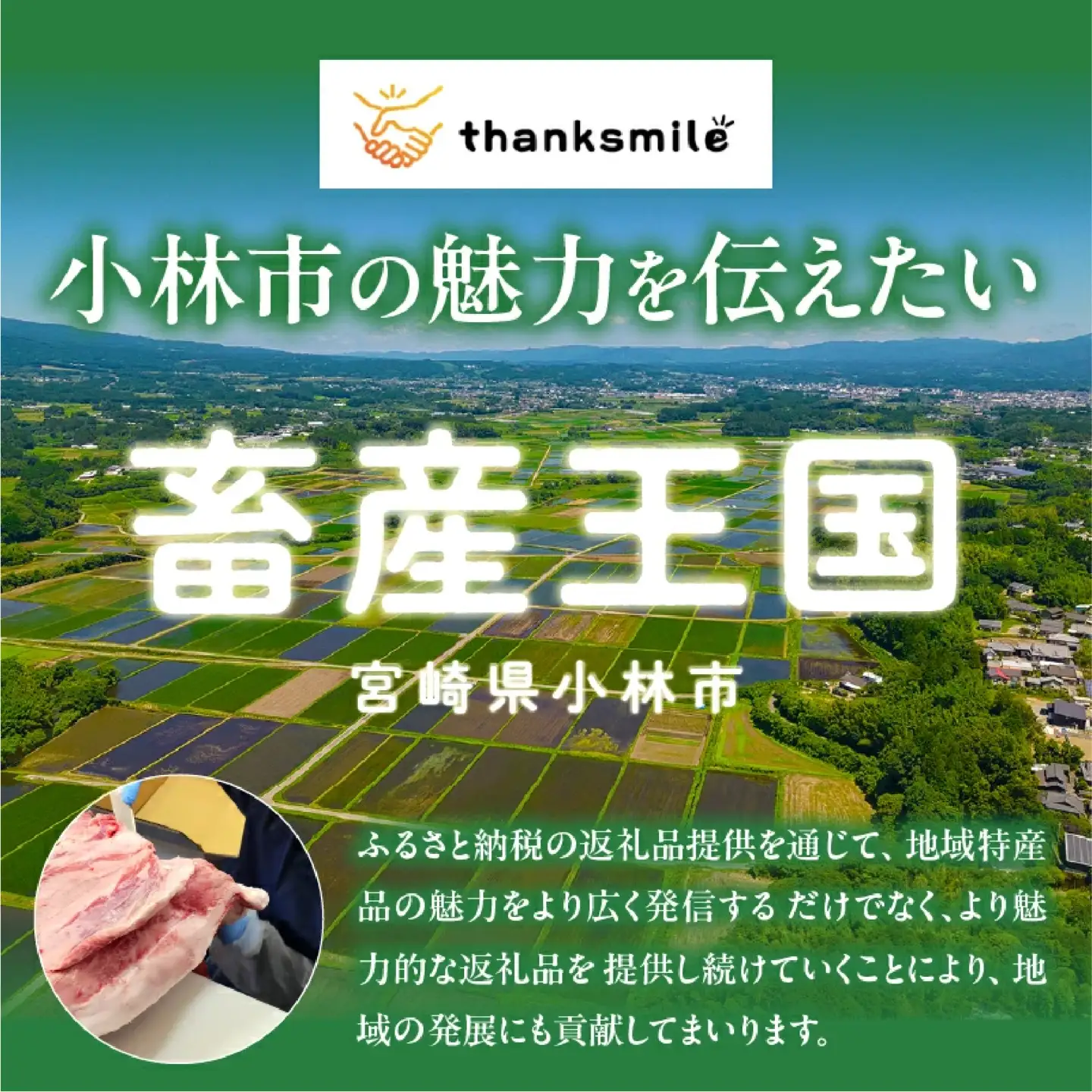 宮崎牛 シャトーブリアン1枚 150g  A4 A5 牛肉 焼肉 ステーキ
