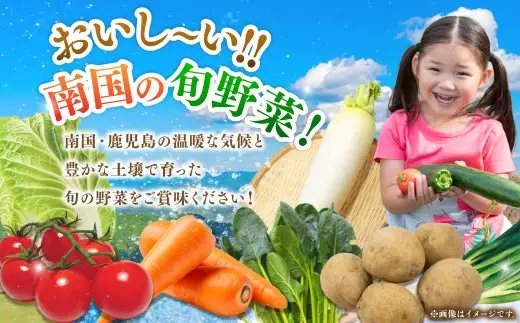 鹿児島県産 季節のお野菜詰め合わせ 10～12品目 野菜 詰め合わせ 新鮮 旬 新鮮野菜 AS-2258