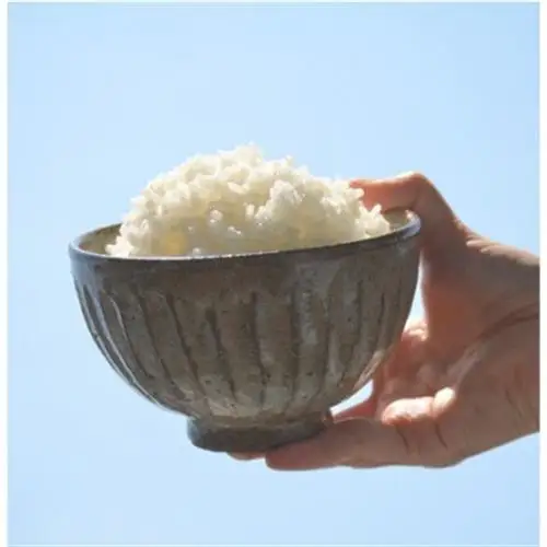 栽培期間中農薬・化学肥料不使用　こしひかり　白米 5kg×4袋(20kg)【1735140】