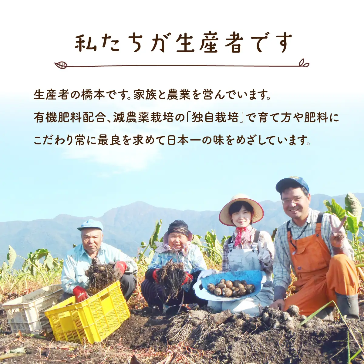 【先行予約】【4月発送分】上庄産さといもの「洗い子」計2.01kg  有機肥料配合　減農薬栽培[A-005006_06]