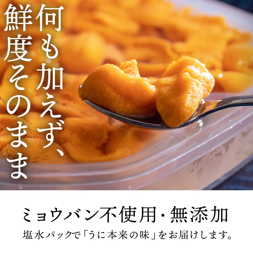 【2027年夏発送分】バフンウニ100g×1パック
