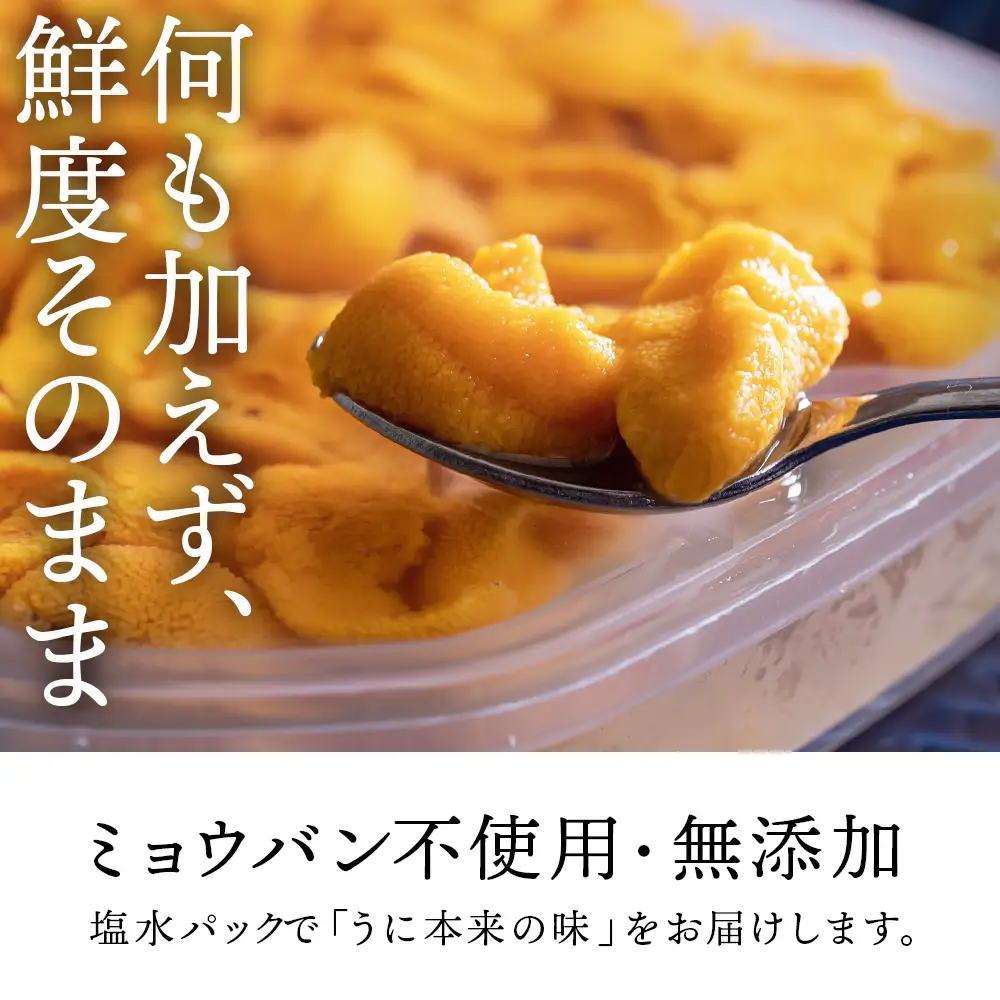 【2027年夏発送分】ムラサキウニ100g×1パック