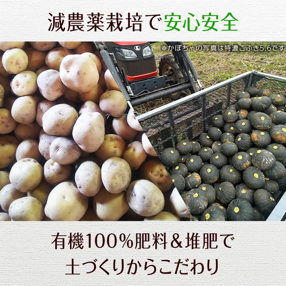 【2026年秋頃出荷】じゃがいも＆かぼちゃ野菜セット（じゃがいも5kg＆かぼちゃ5球×2個）