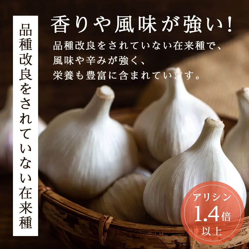 2026年分予約開始！【数量限定】渋谷さん家の★大★「無農薬 にんにく1kg」