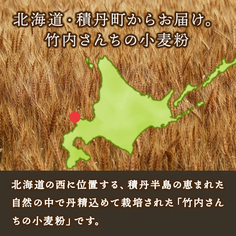 竹内さんちの小麦粉【北海道　ゆめちから（１kg×２袋）便利な小分け袋でお届け】2㎏ 小分け お菓子 パン
