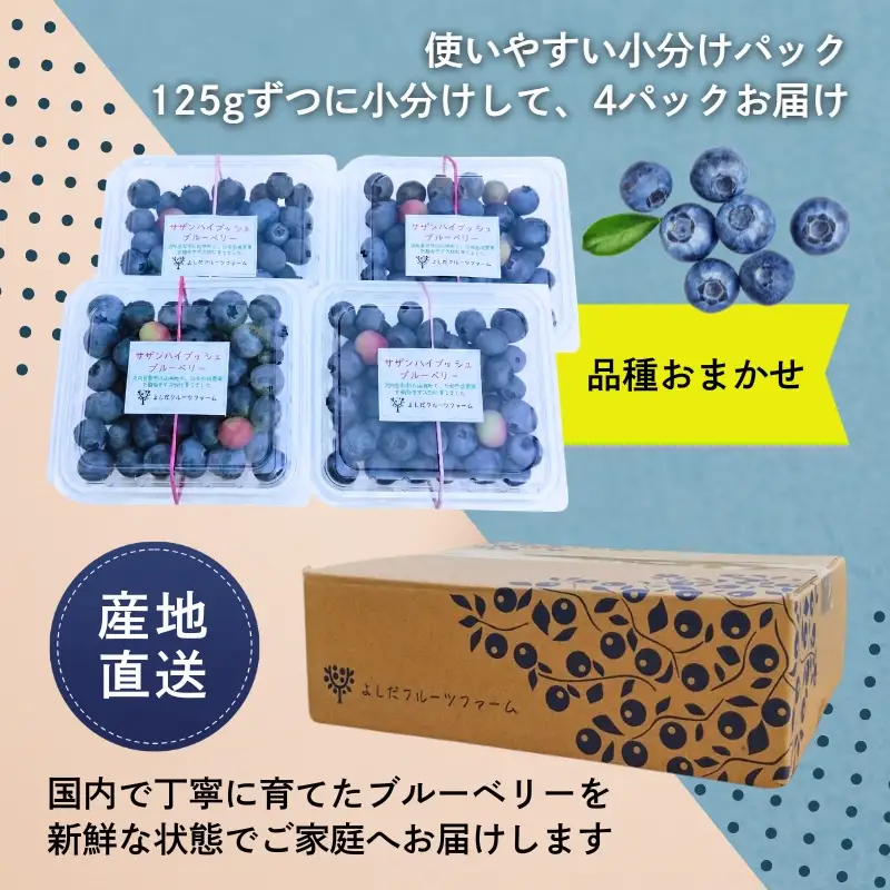 国産 生ブルーベリー 500g (125g×4パック) 品種おまかせ 
