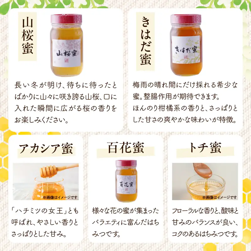 山形県大江町 西の山養蜂 生はちみつ（ピュアハニー）3本セット 004-021