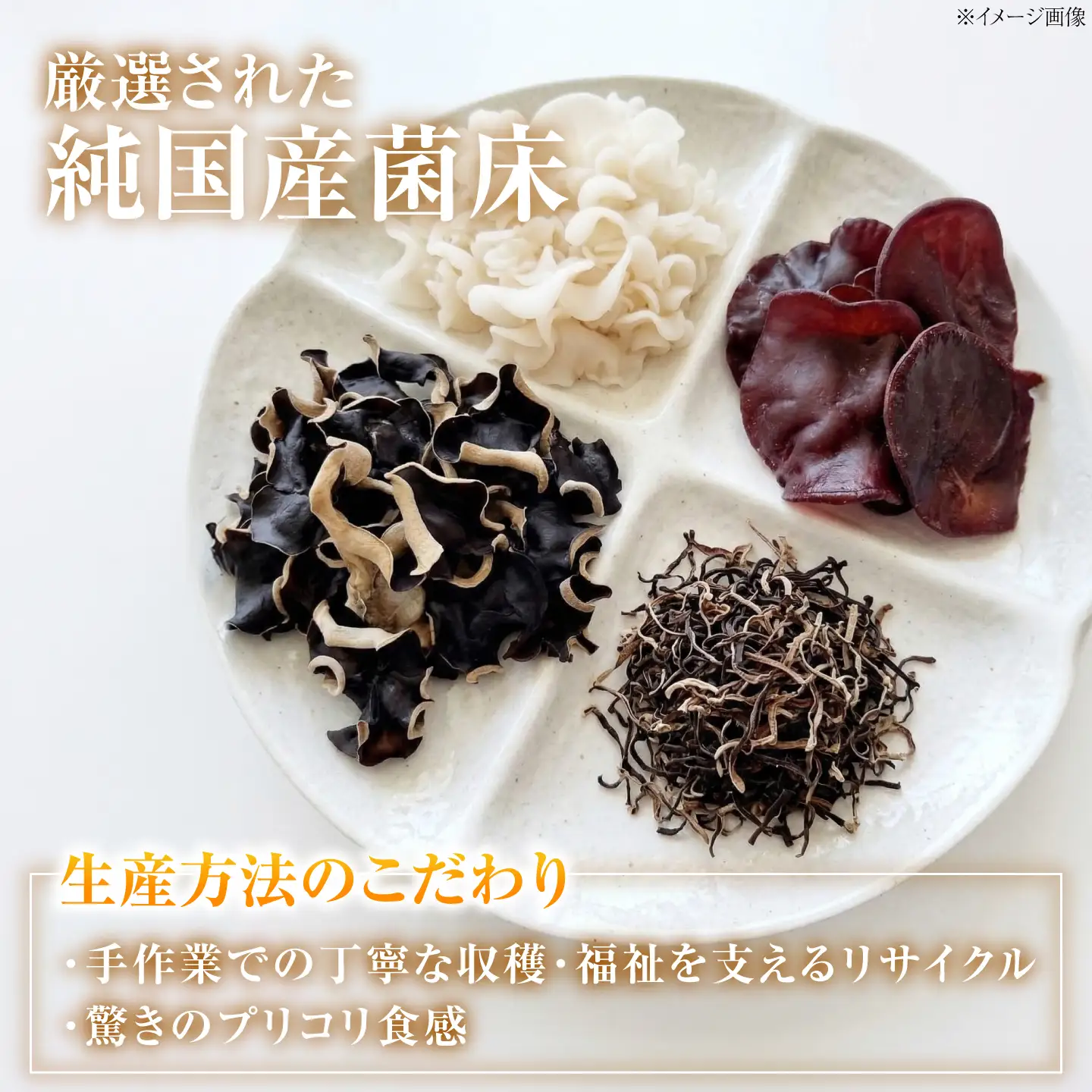 【希少な白きくらげを丸ごと味わう】白い乾燥きくらげ（ホール）(10g×3袋) 3セット 白きくらげ 粉末 乾燥きくらげ パウダー スライス ホール 国産 詰め合わせ 食物繊維豊富 料理用 スープ 食材 江田島産 広島県[XCB043]