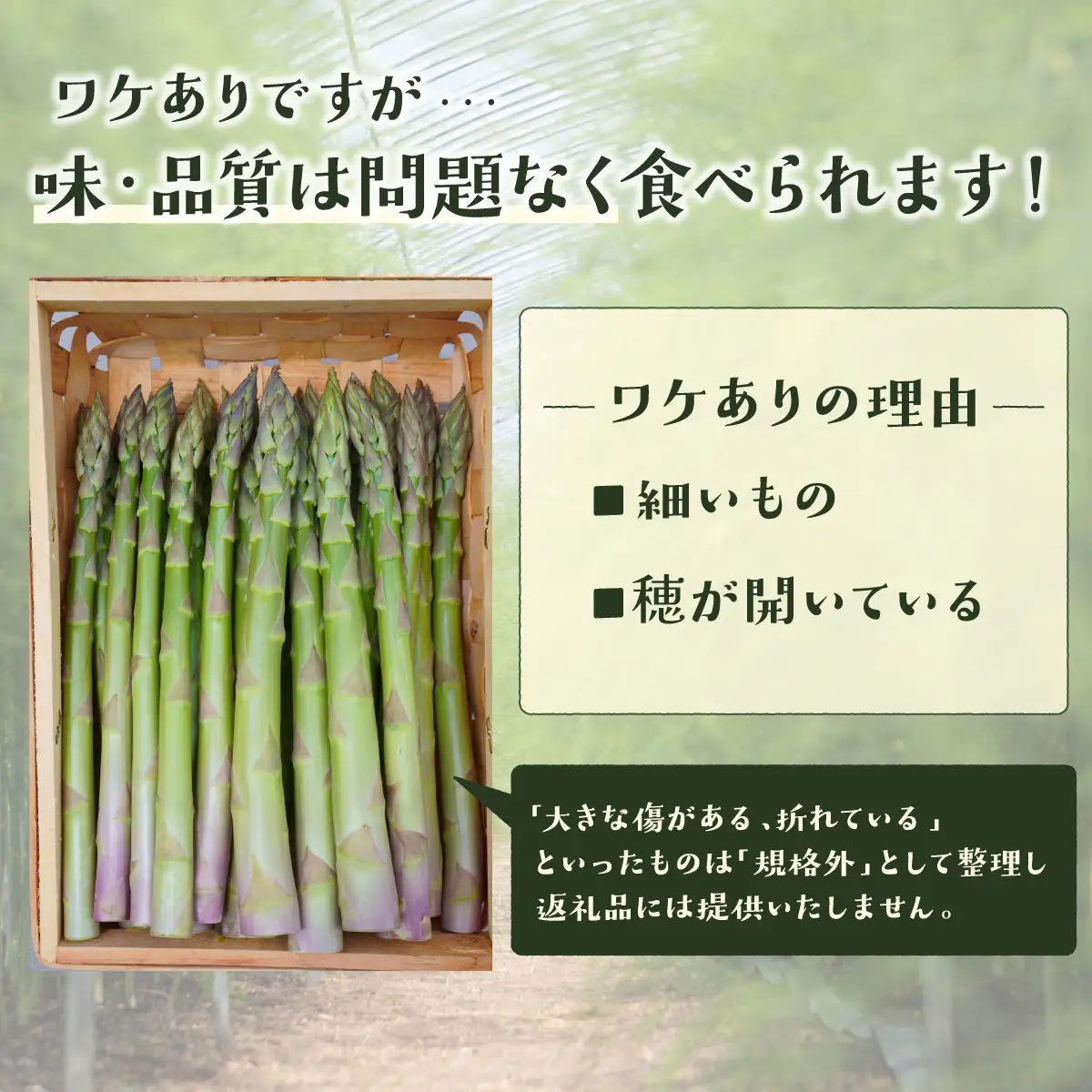 ＜先行予約＞【訳あり品】あまーい！北海道産夏アスパラ 6kg【ffk-009】北海道 伊達市 野菜 新鮮 アスパラガス ふるさと納税 送料無料