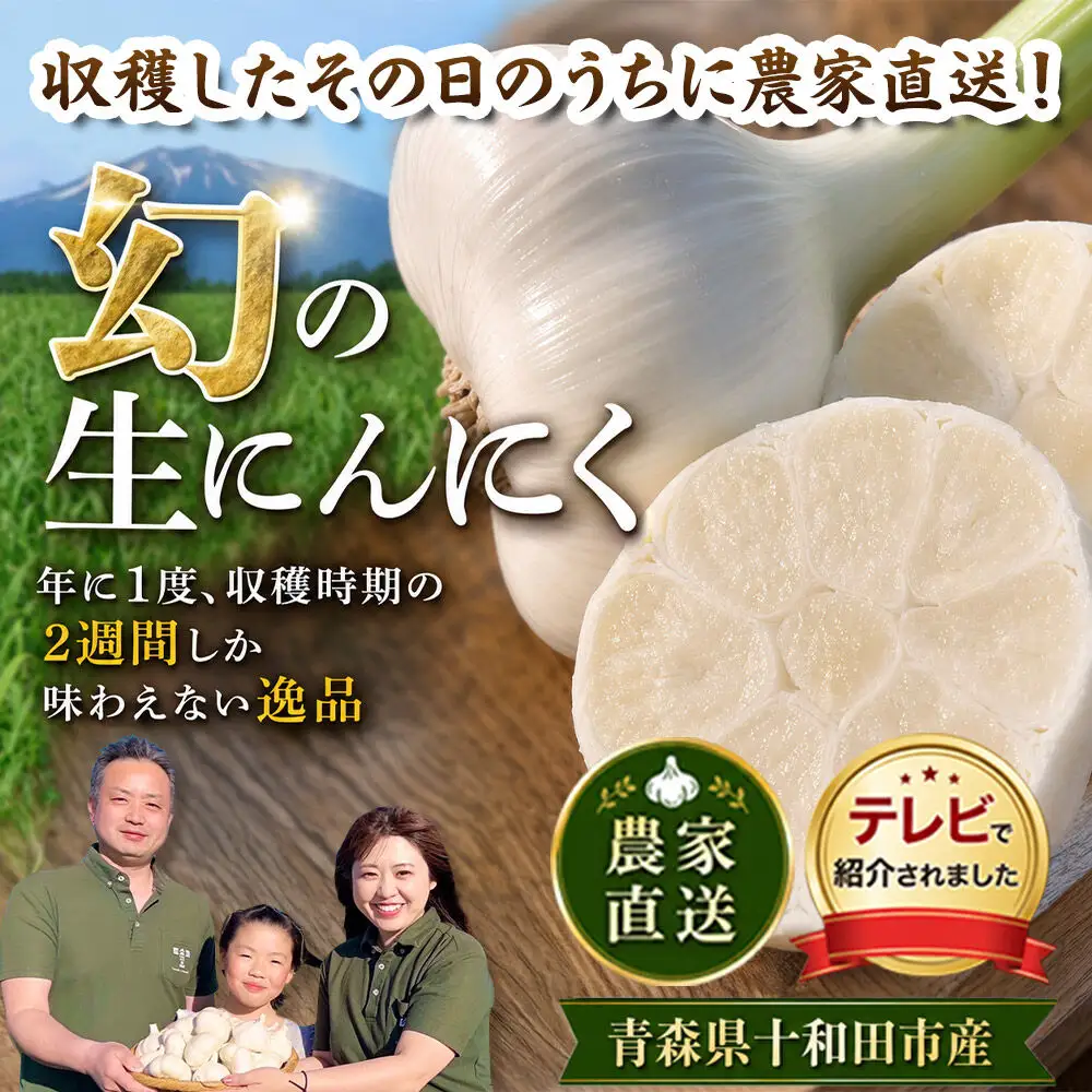 【2027年収穫分】先行受付【テレビ紹介】青森 幻の生にんにく13玉（農家直送・収穫期だけの限定品） 青森にんにくファーム