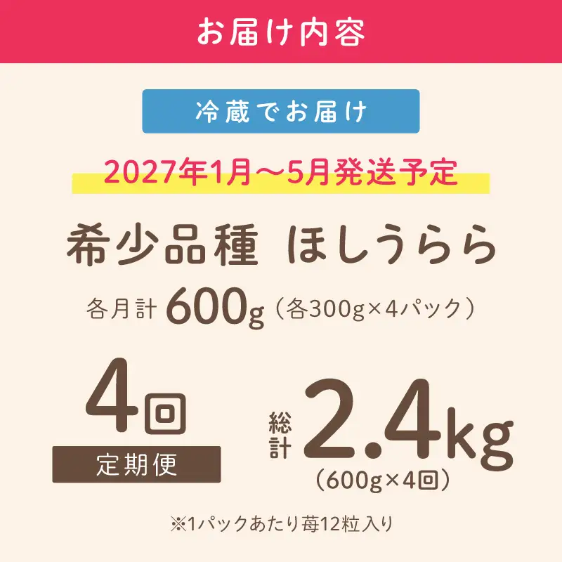 【2027年1月～5月発送予定】【糖度12〜15度の希少品種】いちご  ほしうらら 約600g（約300g×2パック×1箱）4ヶ月定期便【配送不可地域：北海道・沖縄・離島】【121B-002-2027】