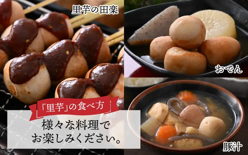 里芋 令和8年産 かつやま里芋 5kg 先行予約 [A-005013]