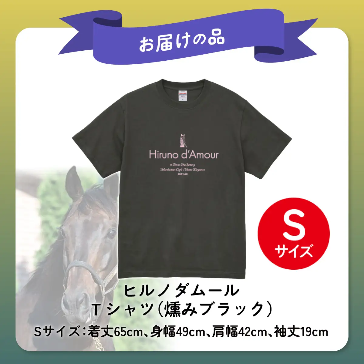 【ヒルノダムール】（燻みブラック）Ｔシャツ 選べる４サイズ【Ｓ】 BRTV300-1