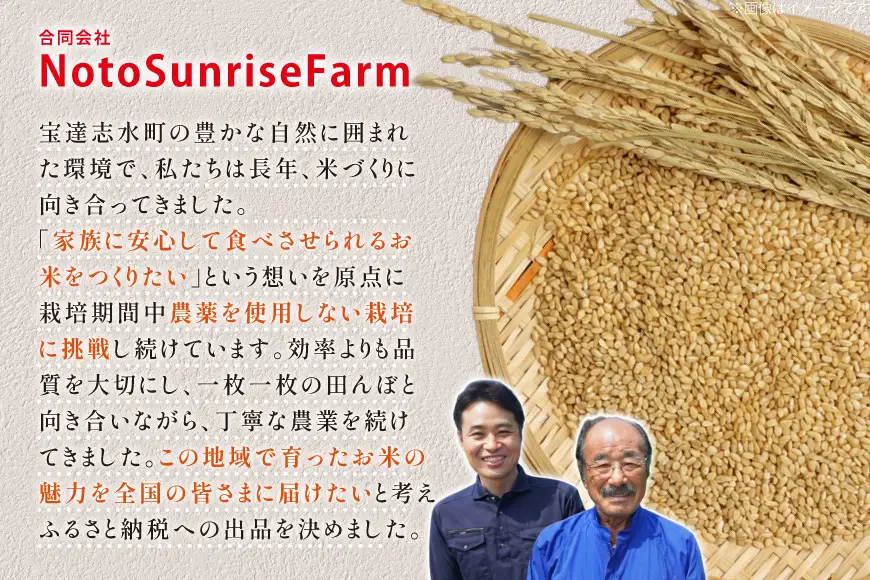 米 令和8年産 特別栽培米 コシヒカリ 5kg 玄米