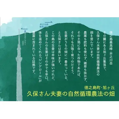 徳之島ジンジャーエール　200ml×6本