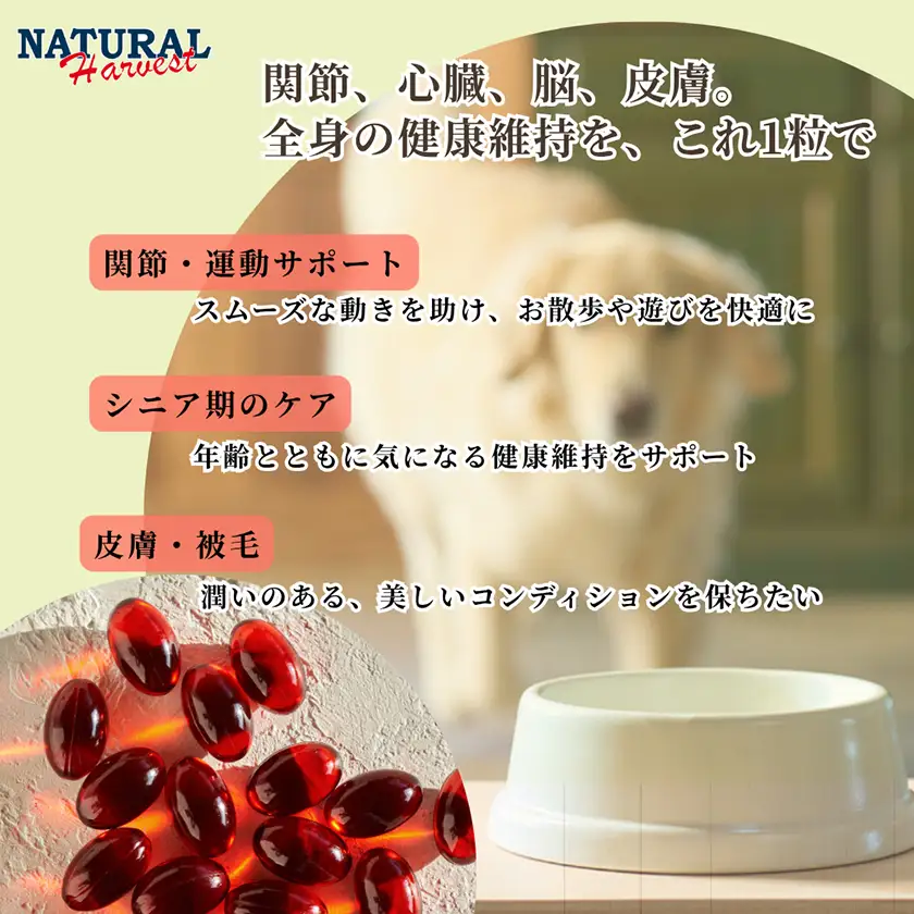 【犬用サプリメント】南極クリルオイル 180粒(ドッグフード / オメガ3 / EPA・DHA)【1728462】