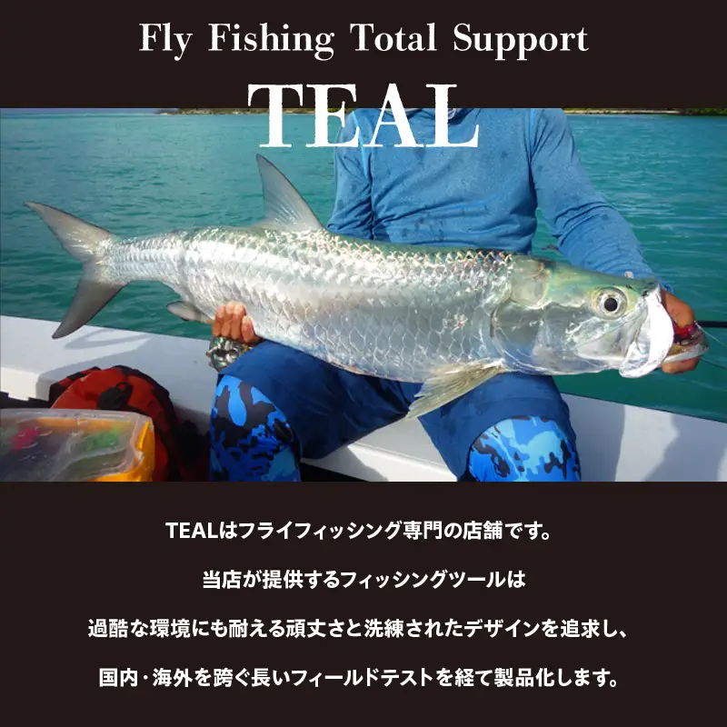 Wild Spec/FS2.#9/10.series　マットシルバー＆ティールブルー_81-434