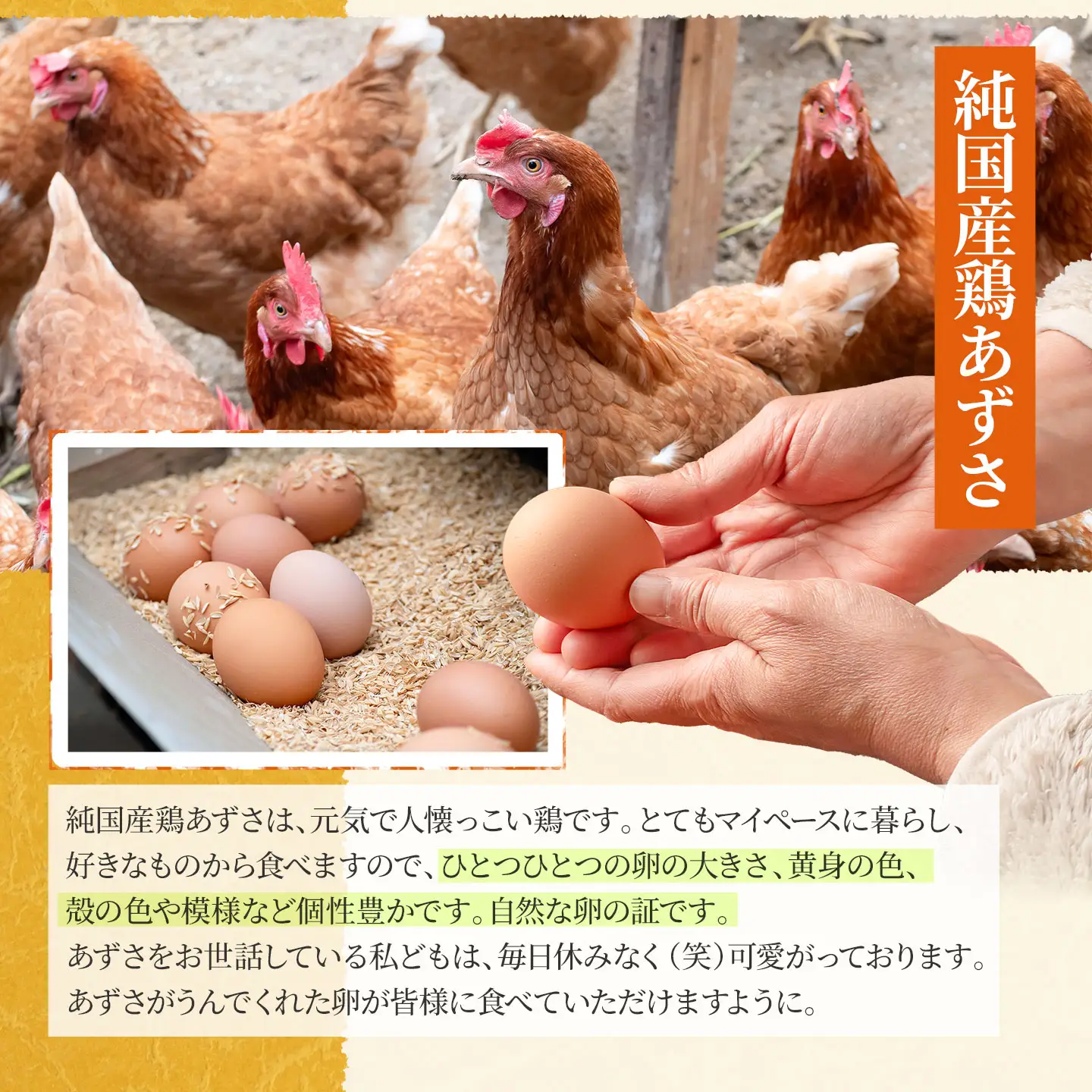 純国産鶏あずさの平飼い卵 40個 (フリーサイズ) 山形県鶴岡市 おーぼ | 卵 たまご タマゴ 玉子 鶏卵 平飼い卵 自然卵 生卵 卵かけご飯 たまごかけご飯 卵かけごはん たまごかけご飯 卵料理 甘み 国産 東北 山形 鶴岡市産 冷蔵 送料無料