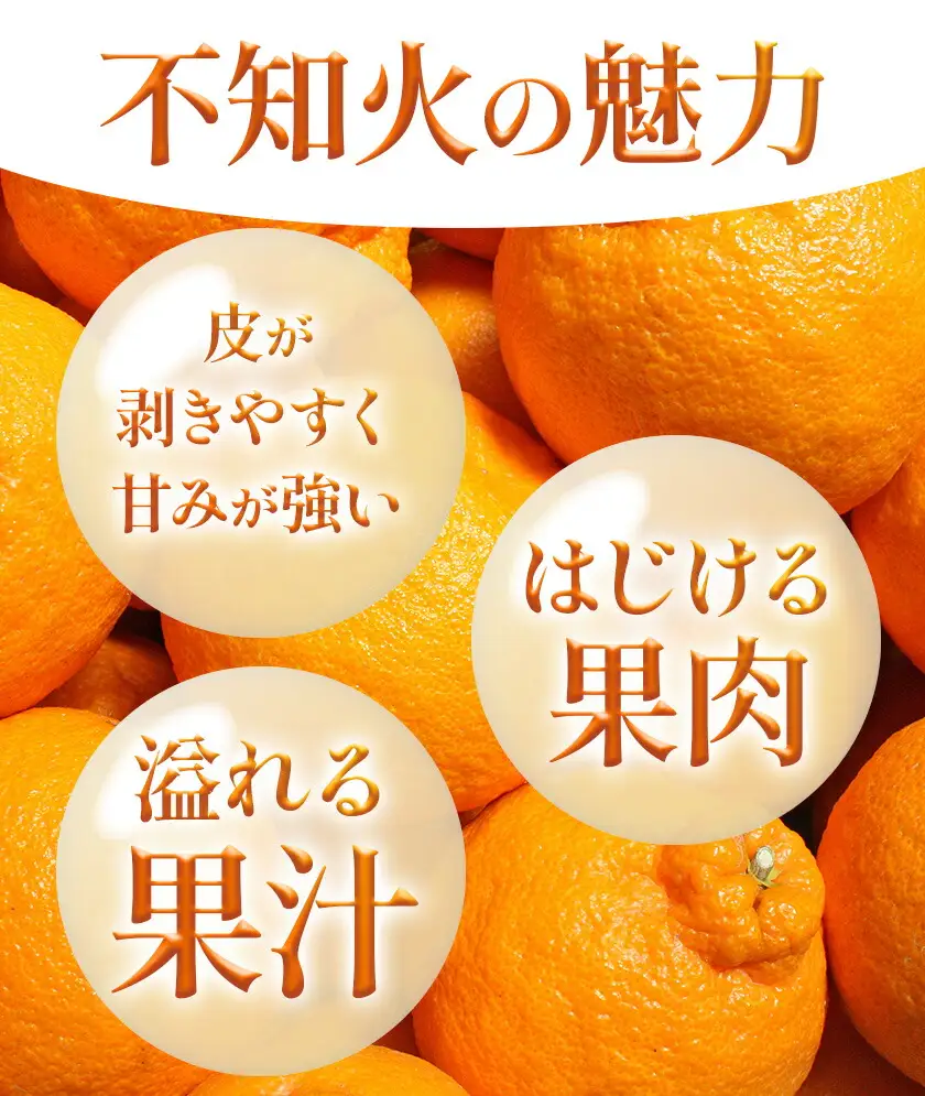 不知火 計10kg しらぬい 日本フルーツ株式会社 デコポン