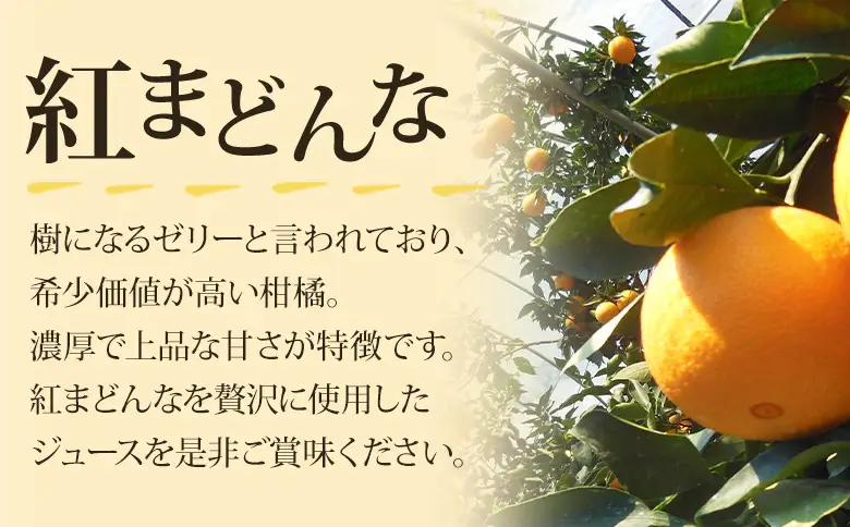 ＜紅まどんなジュース 720ml×2本セット＞ 『1か月以内に順次出荷予定』感謝企画 果汁100％ストレートジュース デザート アソート みかん 果物 マドンナ フルーツ くだもの 柑橘類 濃厚 飲料 ドリンク 飲み物 特産品 マルワフルーツ園芸 愛媛県 西予市【常温】UUB0102