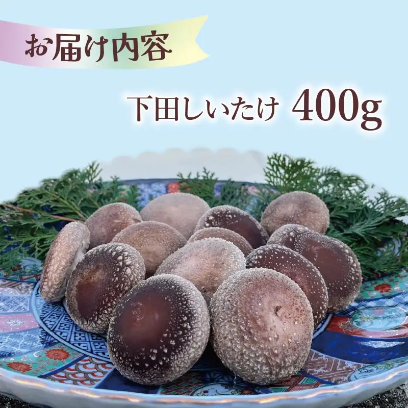 しいたけ 400g 椎茸 先行予約 シイタケ 菌床椎茸 きのこ 静岡 下田 伊豆 養鶏 farm1987
