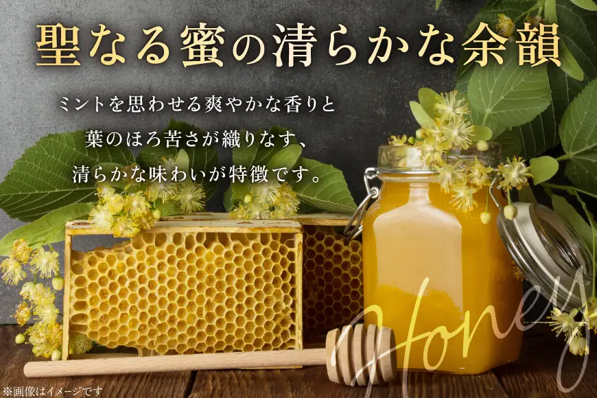 ミード 蜂蜜酒 TRUE HEART 375ml 1本