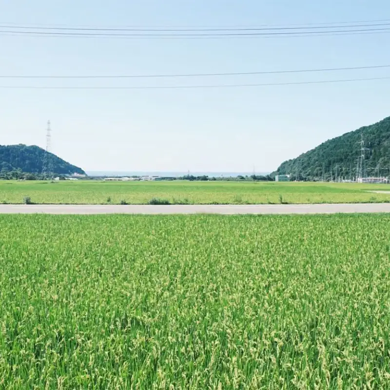 「mûrir」～ミュリール～ ディナーコース お食事券 2名様分 新潟県糸魚川市【お食事券 食事 ふるさと納税 食事券 越後 新潟 糸魚川 ふるさと レストラン フランス料理 ジオフード 薪焼き フレンチ ジビエ】