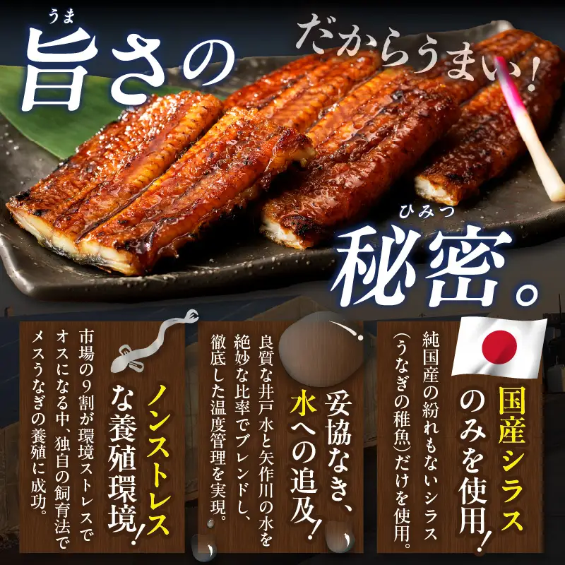 三河高浜産三代目養鰻家の白焼きうなぎ 特大2尾（350ｇ以上）_74-379
