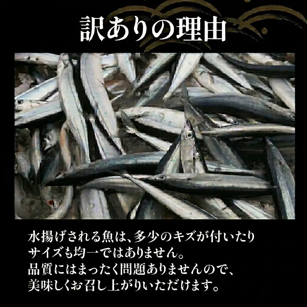 訳あり さんま 2kg 
