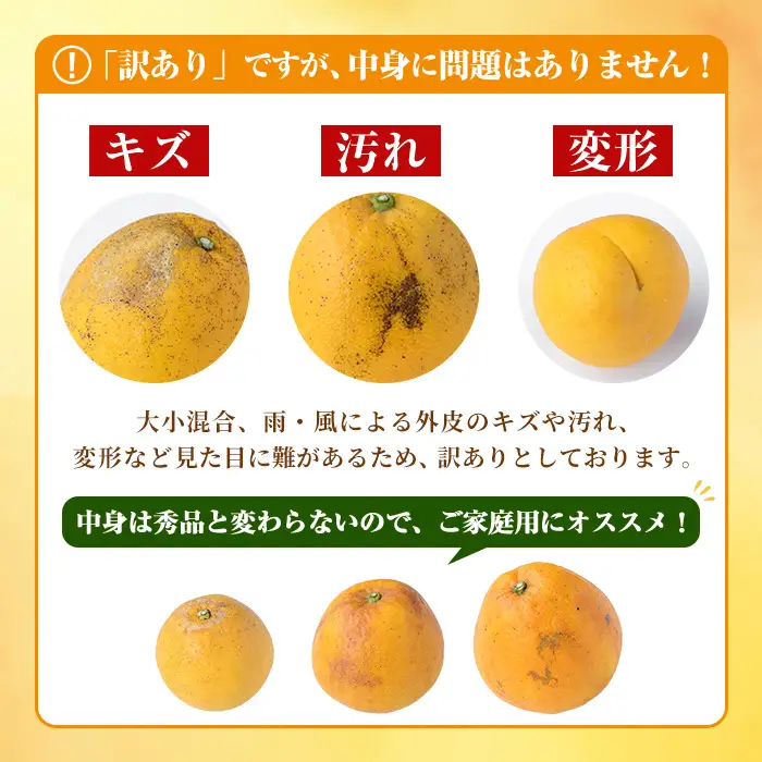 ＜先行予約受付中！2027年3月中旬以降順次発送予定＞訳あり！まなべみかん園の河内晩柑(約10kg) 国産 鹿児島県産 阿久根市産 柑橘類 かんきつ 晩柑 果物 フルーツ 期間限定 数量限定 デザート 訳アリ かわちばんかん 【有限会社まなべみかん園】akn034-09