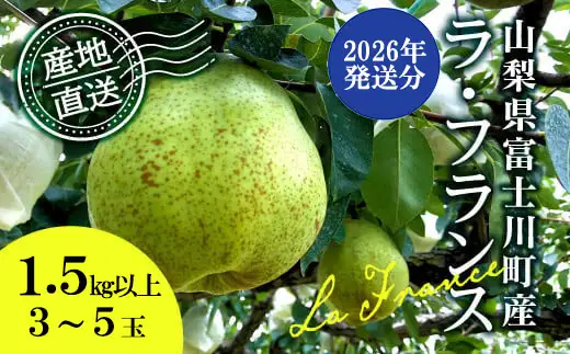 【2026年発送分】【フルーツ定期便】シャインマスカット 約２kg (３～４房)＆【糖度16度以上】すもも『ふかさわ』約1.3〜1.5kg（8〜11個）＆ラ・フランス 約1.5kg（3～5玉）　シャイン マスカット ぶどう ブドウ 葡萄 李 スモモ 洋なし 洋梨 洋ナシ フルーツ 果物 くだもの 山梨 やまなし 富士川町