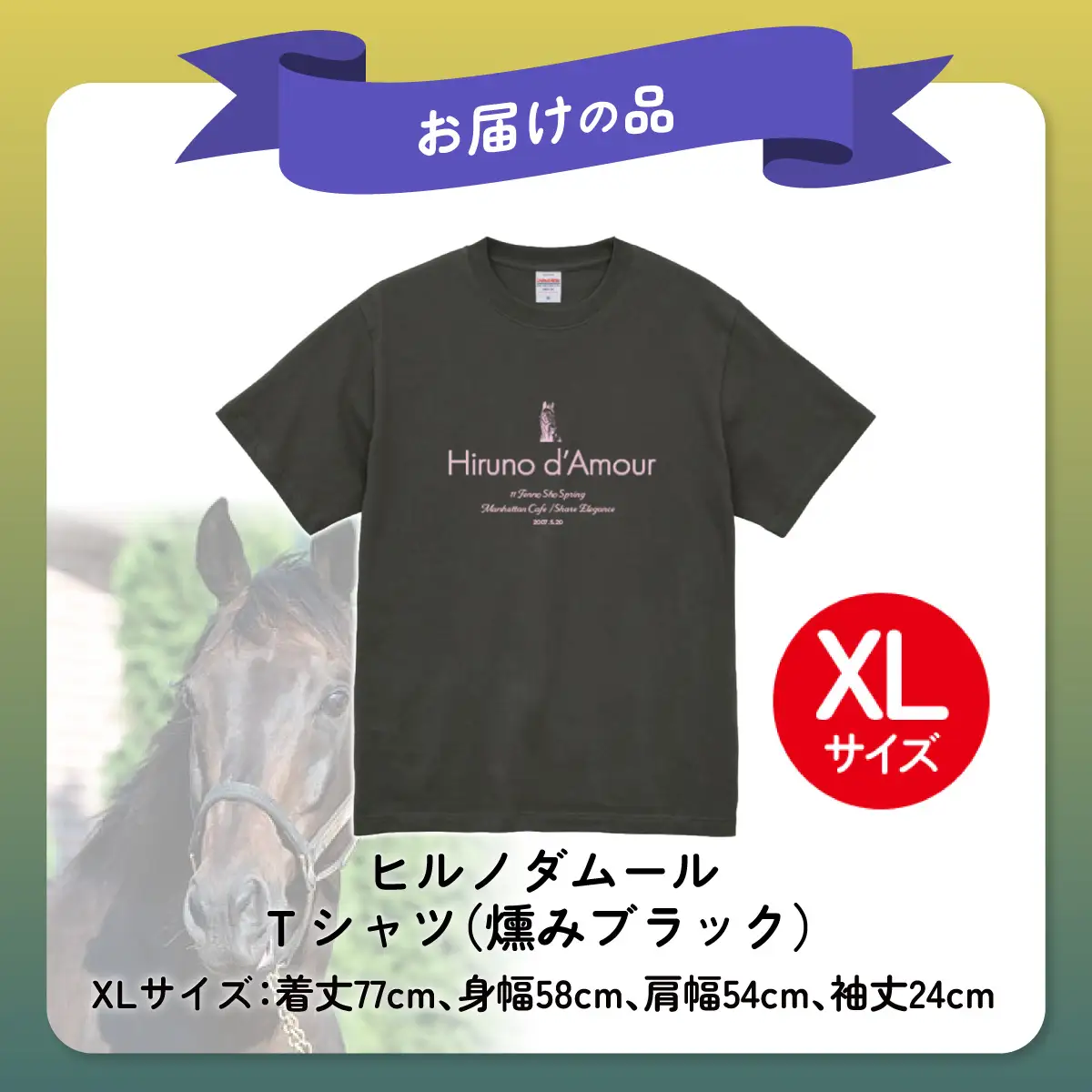 【ヒルノダムール】（燻みブラック）Ｔシャツ 選べる４サイズ【ＸＬ】 BRTV300-4