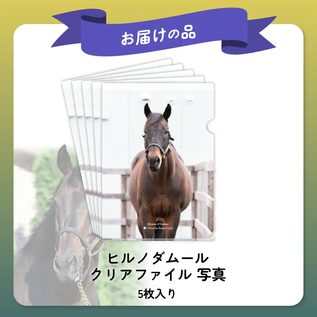 【ヒルノダムール】クリアファイル 写真5枚入り BRTV303