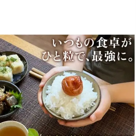 南高梅 はちみつ 梅干し 1kg 塩分 8% 完熟【1583140】