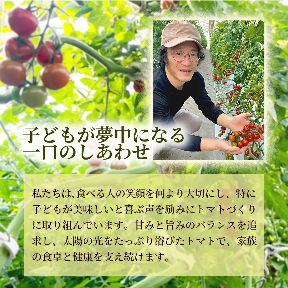 《先行予約》結（むすび）ミニトマト（TTM180）1kg 3セット 新鮮野菜 フルーツ 旬 サラダ デザート お弁当 朝食 料理用 そのまま食べる おうちごはん お取り寄せ みずみずしく爽やかな甘み 産地直送 贈り物 手土産 愛知県 豊橋市