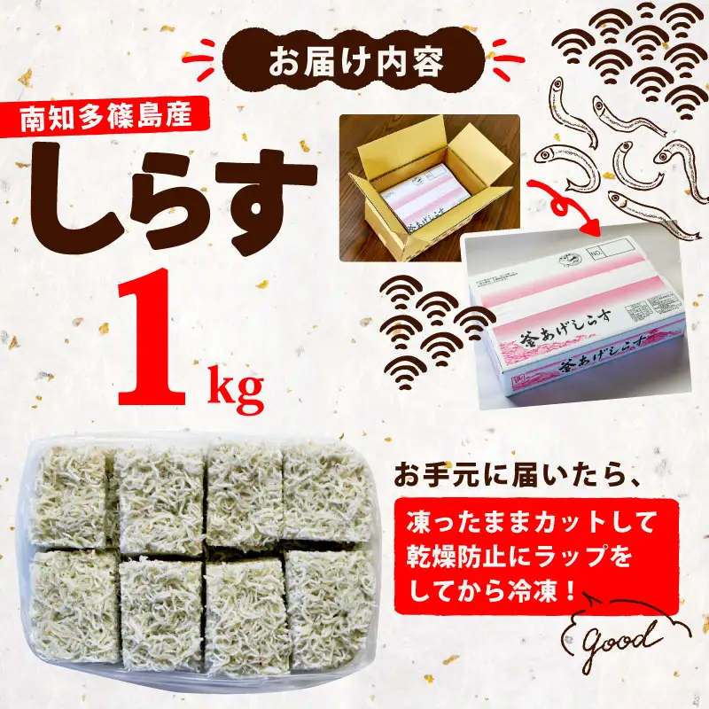 釜揚げ しらす 1kg 冷凍 テルニ商店 SIRASU 人気シラス 愛知県 南知多町 ご飯 ごはん 離乳食 丼 料理 国産 シラス 栄養 人気 おすすめ シラス しらす しらすごはん パスタ トーストしらす丼 晩御飯 酒 の肴 簡単調理 万能 ふるさと納税しらす 米 に合う こめ に合う コメ にあう おいしいしらす 栄養豊富 おすすめ