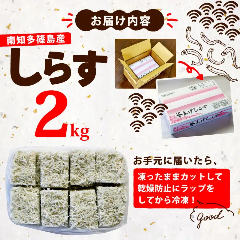 釜揚げ しらす 2kg 冷凍 テルニ商店 SIRASU 人気シラス 愛知県 南知多町 ご飯 ごはん 離乳食 丼 料理 国産 シラス 栄養 人気 おすすめ シラス しらす しらすごはん パスタ トーストしらす丼 晩御飯 酒 の肴 簡単調理 万能 ふるさと納税しらす 米 に合う こめ に合う コメ にあう おいしいしらす 栄養豊富 おすすめ