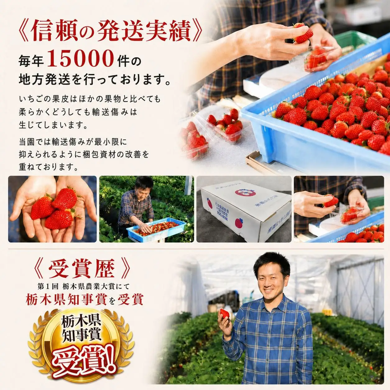 【先行予約】[数量限定] 貴重な12月発送！伝統の「初摘み女峰」 280g×2P
