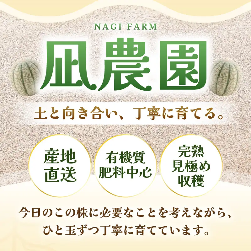 先行予約  マルセイユメロン (赤肉) 2玉 糖度15度以上 2027年6月上旬以降順次発送予定 [B-22101]